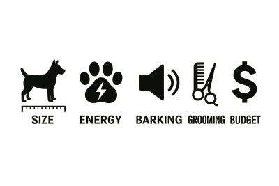 Infographic showing key factors for choosing the best dog breeds for apartments